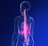 Gerinc- és ízületi fájdalmak