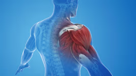 Mélyizom erősítés, mobilizálás